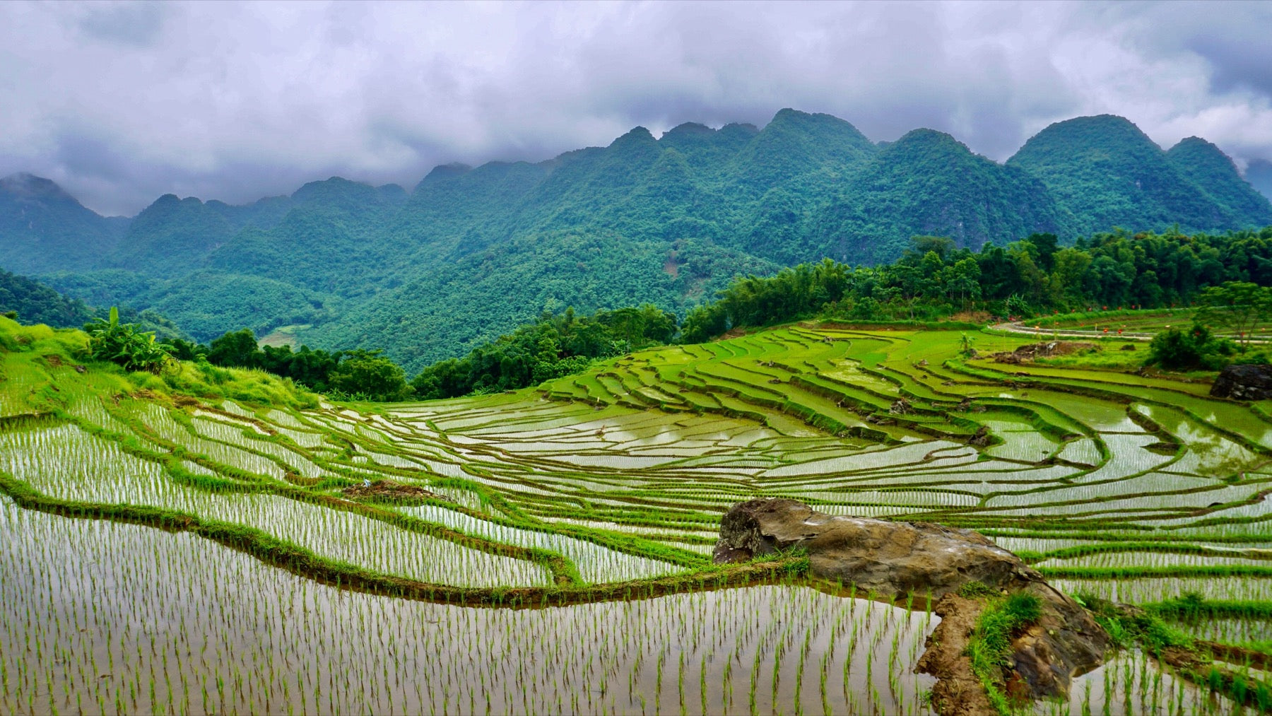 Rice terraces in the mountains of northern Vietnam